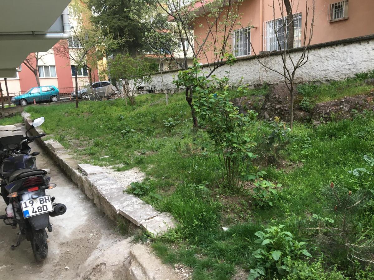 Kurtulus Park Private-Shared Apartment With Garden View